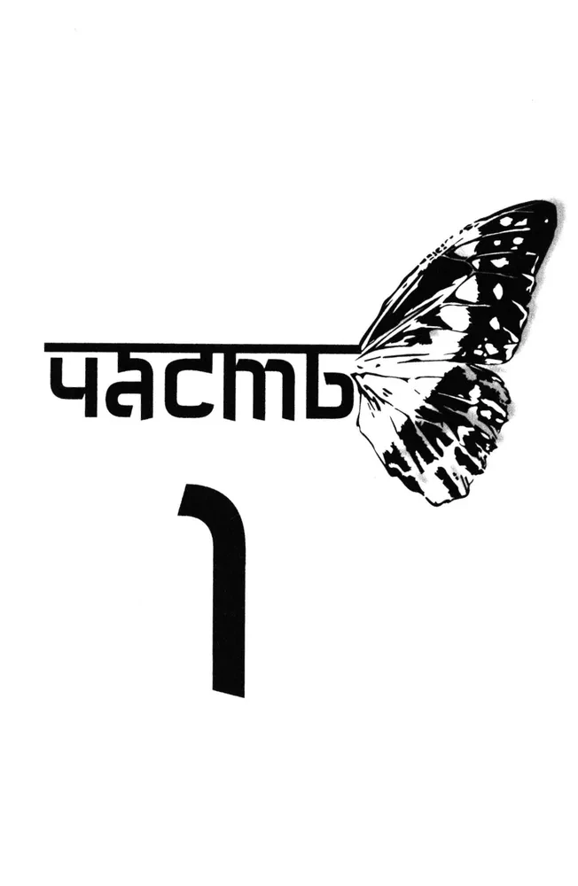 The Path Above the Butterfly