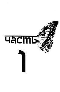 The Path Above the Butterfly