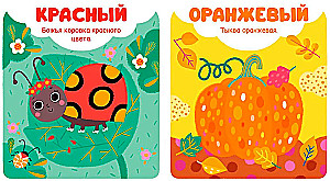 Colors