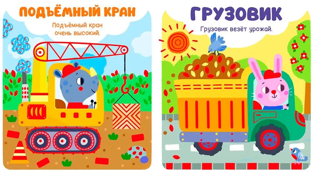Transport