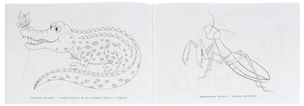 Zwierzęta Afryki. Album kolorowanek