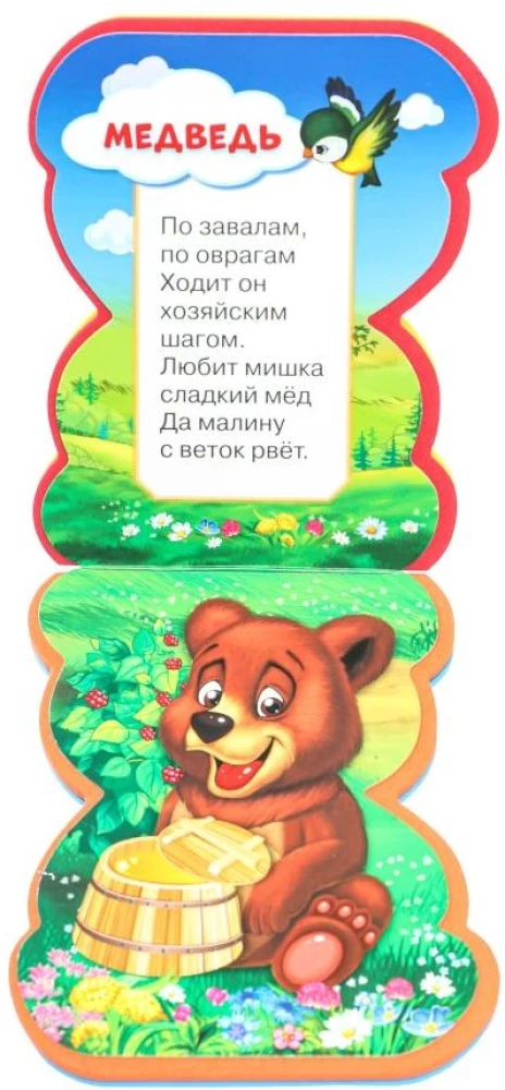 Leśne zwierzęta