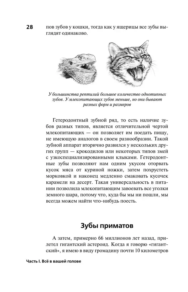 Evoliucijos spąstai. Kodėl skauda mūsų kūną