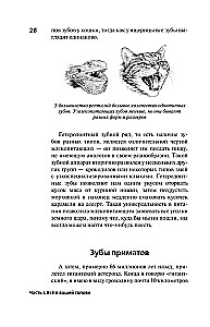 Evoliucijos spąstai. Kodėl skauda mūsų kūną