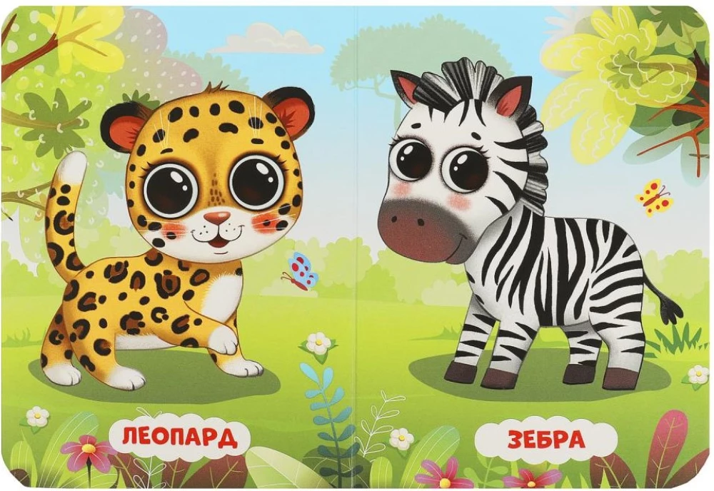 Zoo