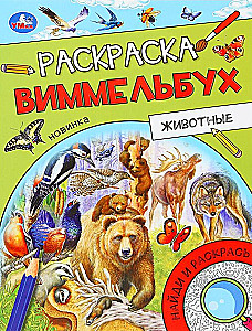 Zwierzęta. Książka do kolorowania Wimmelbuch