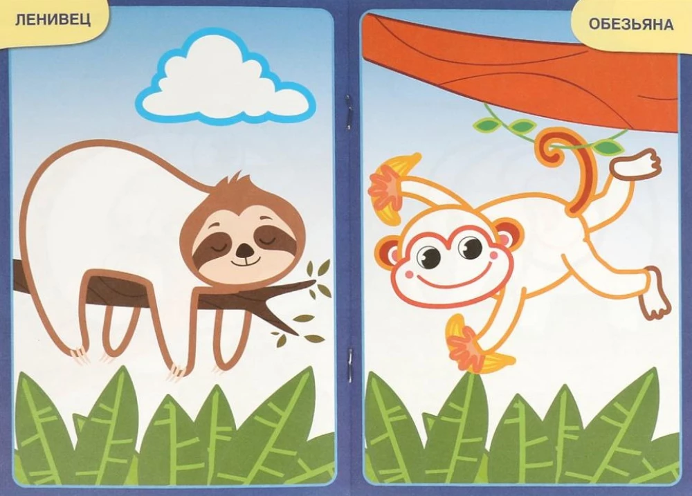 Zoo. First Coloring Book with Color Outline. For Toddlers 2-3 Years Old