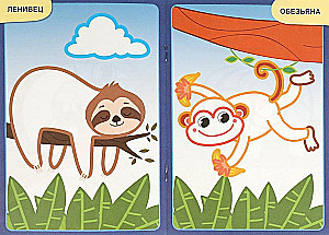 Zoo. First Coloring Book with Color Outline. For Toddlers 2-3 Years Old