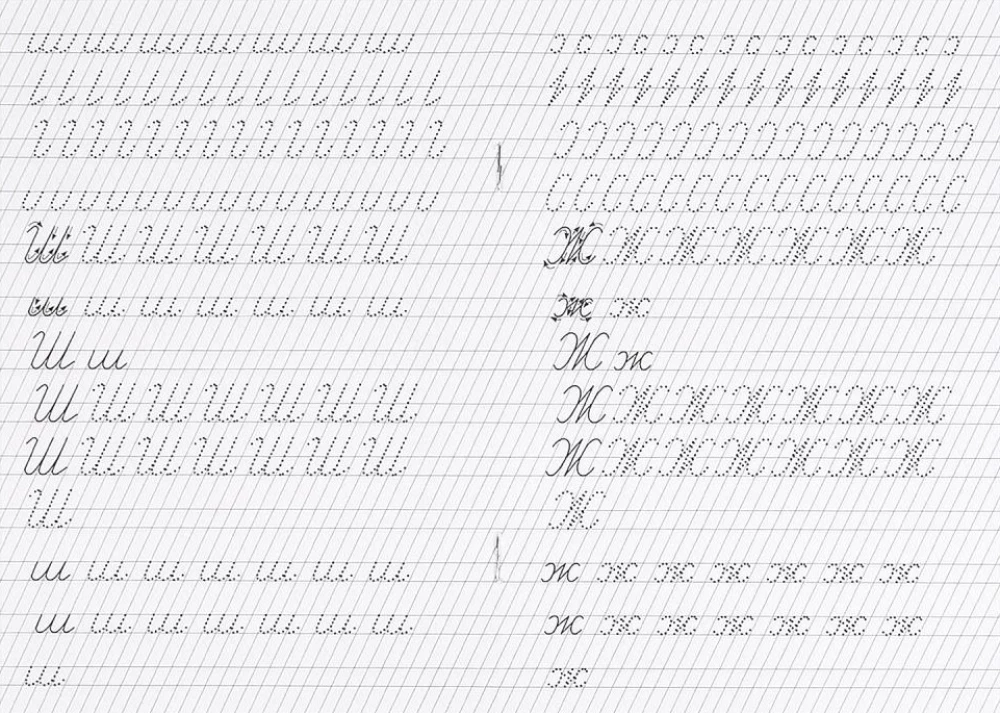From Simple to Complex. Speech Therapy Writing Exercises