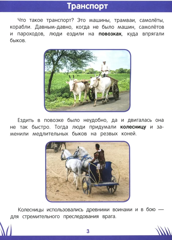The Book of Knowledge for Preschoolers. 6-7 years: logic, etiquette and much more