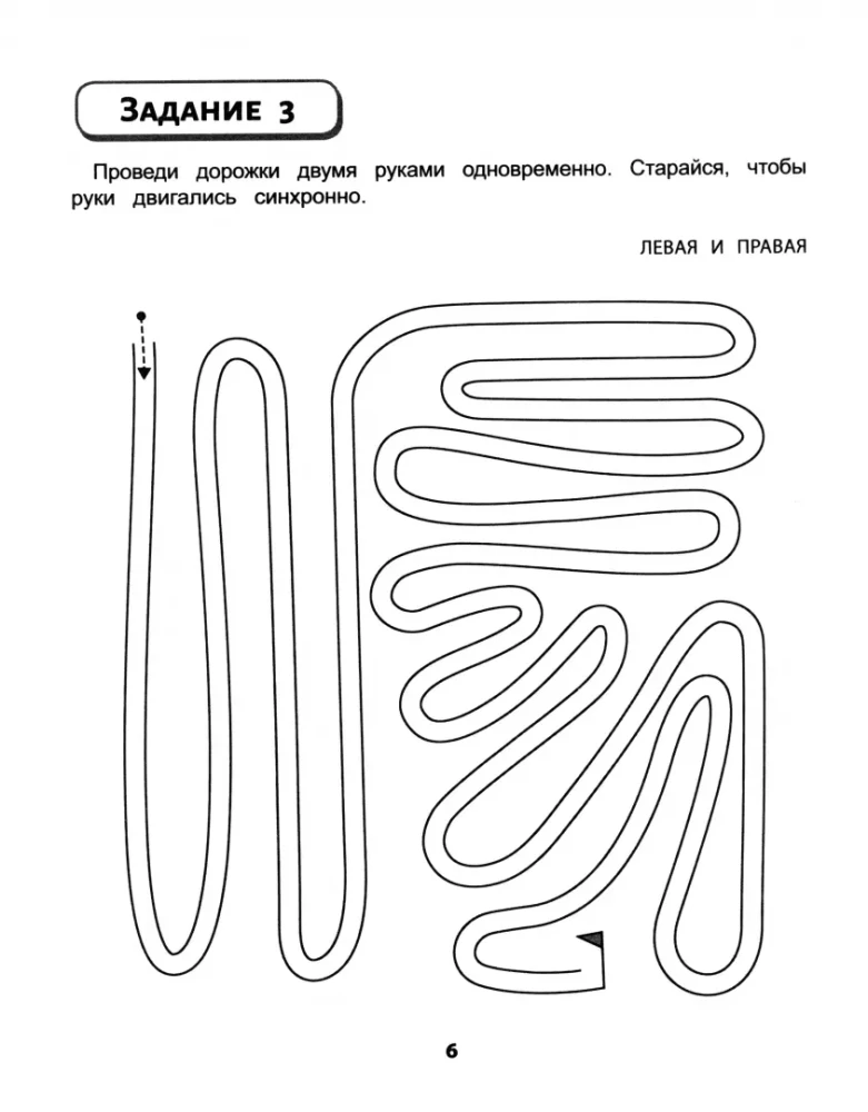 Rechts, links, zusammen! Interhemisphärische Interaktion. Symmetrisch zeichnen