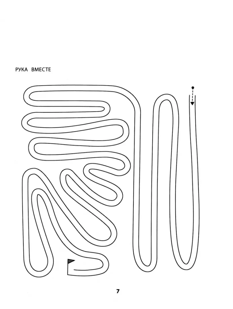 Rechts, links, zusammen! Interhemisphärische Interaktion. Symmetrisch zeichnen