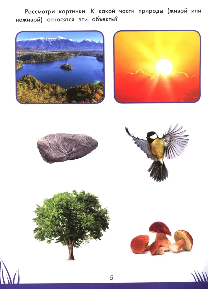 Book of Knowledge for Preschoolers. 5-6 Years: The Surrounding World and Much More