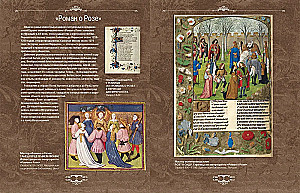 Hieronymus Bosch. Honorowy profesor koszmarów