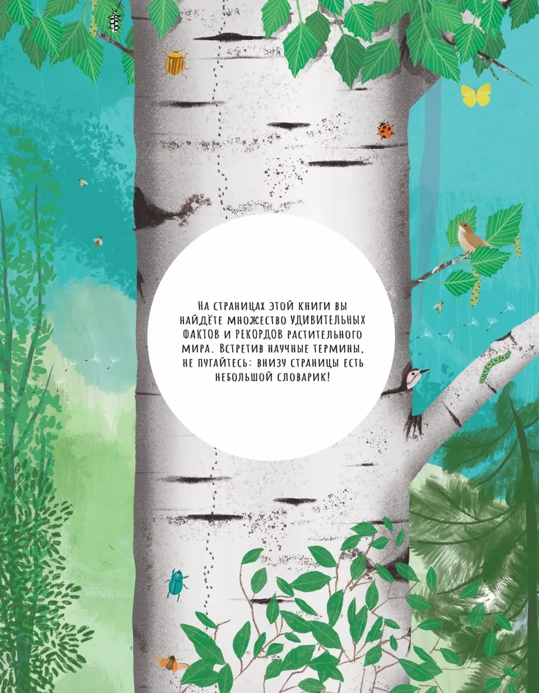 The Secrets of Trees