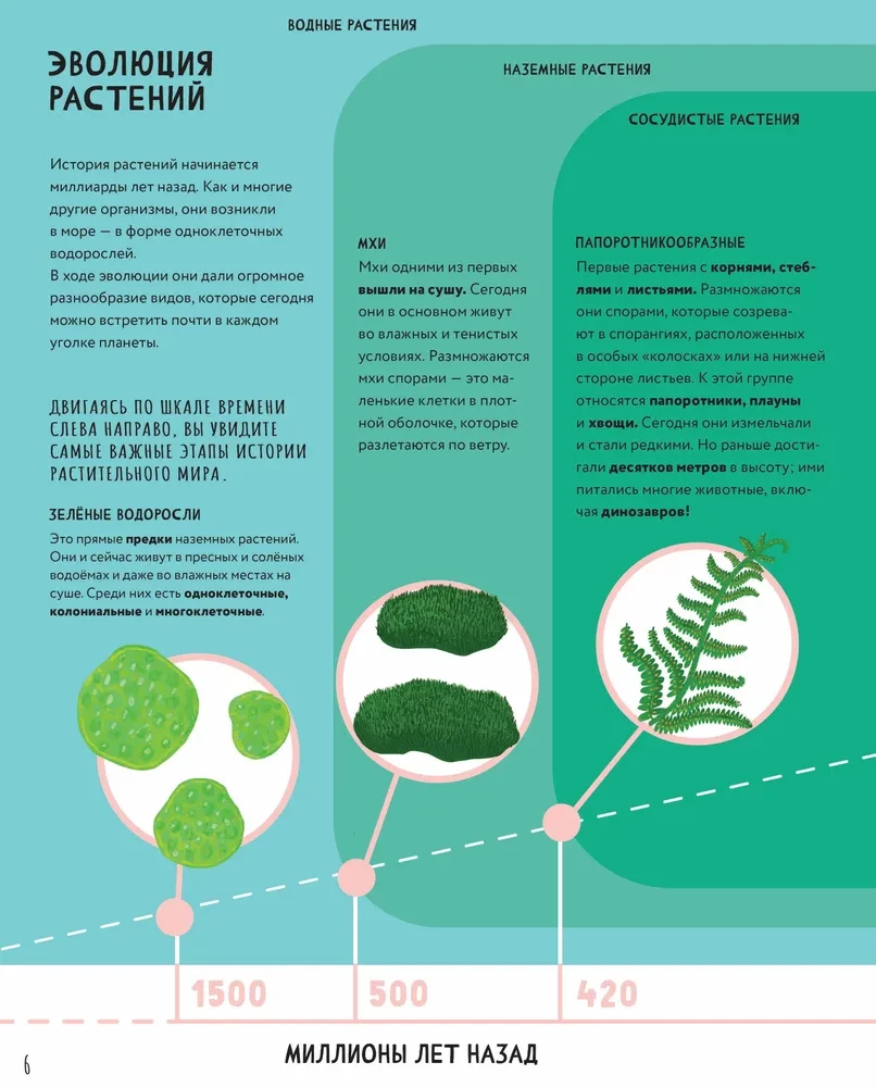 The Secrets of Trees