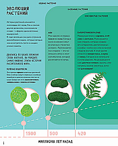 The Secrets of Trees