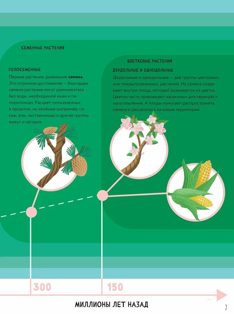 The Secrets of Trees