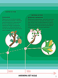 The Secrets of Trees