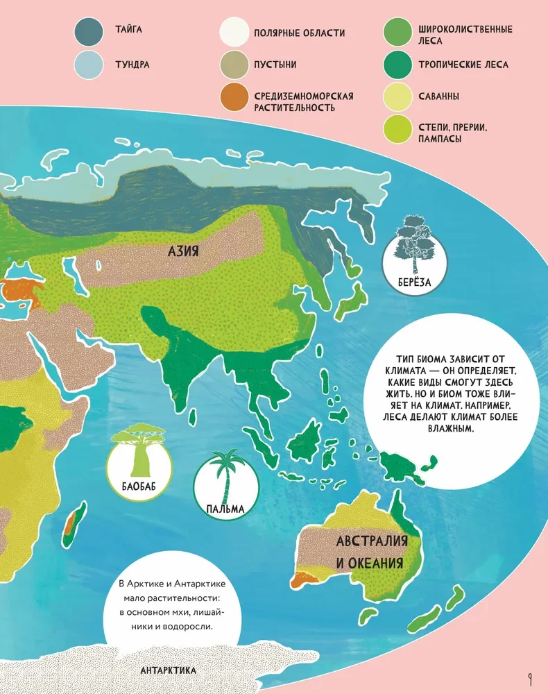 The Secrets of Trees