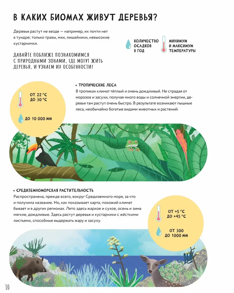 The Secrets of Trees