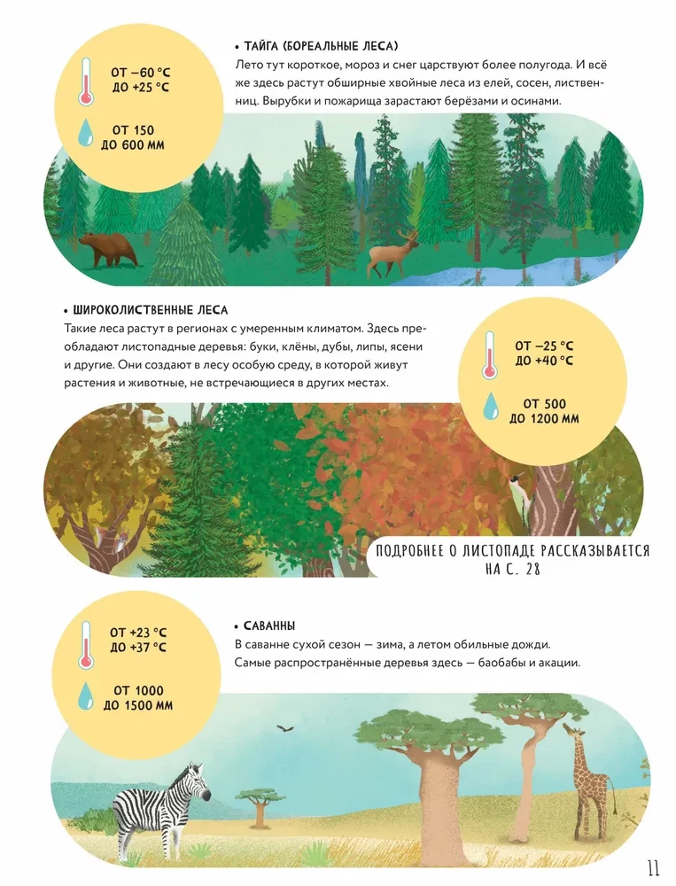 The Secrets of Trees