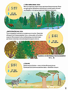 The Secrets of Trees