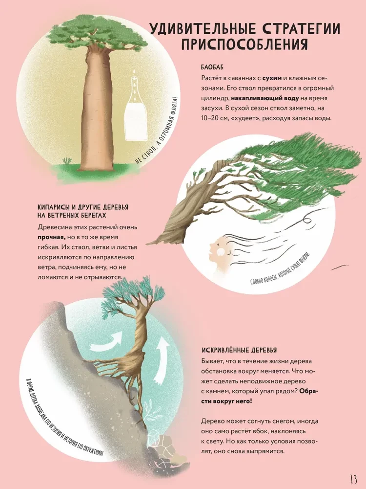 The Secrets of Trees