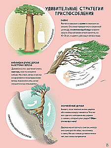The Secrets of Trees