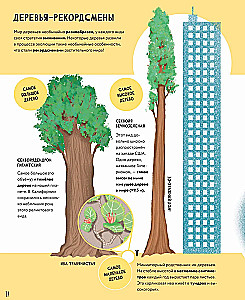 The Secrets of Trees