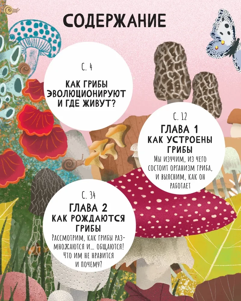 The Secrets of Mushrooms