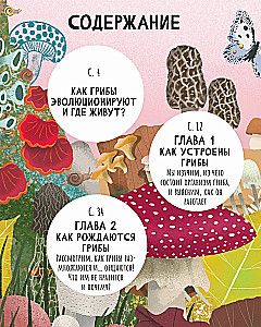 The Secrets of Mushrooms