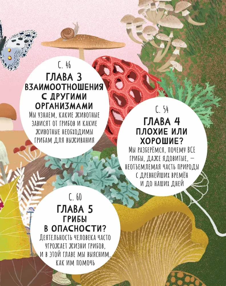 The Secrets of Mushrooms