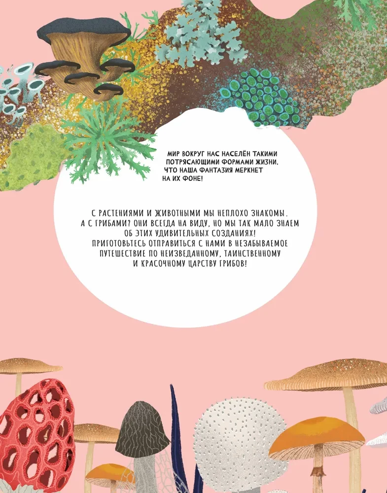 The Secrets of Mushrooms