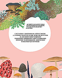 The Secrets of Mushrooms
