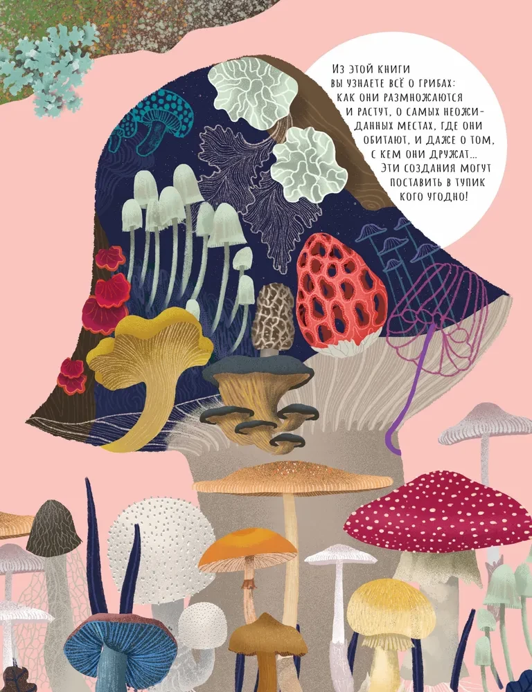 The Secrets of Mushrooms