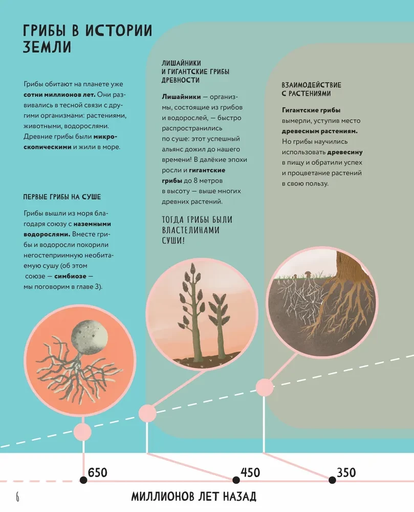 The Secrets of Mushrooms