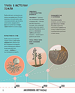 The Secrets of Mushrooms