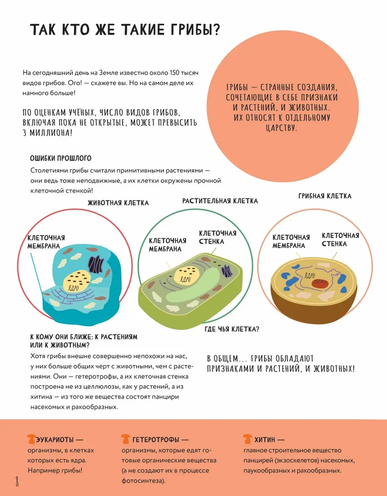 The Secrets of Mushrooms