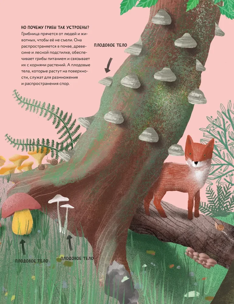 The Secrets of Mushrooms