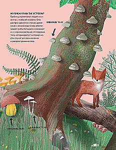 The Secrets of Mushrooms