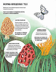 The Secrets of Mushrooms