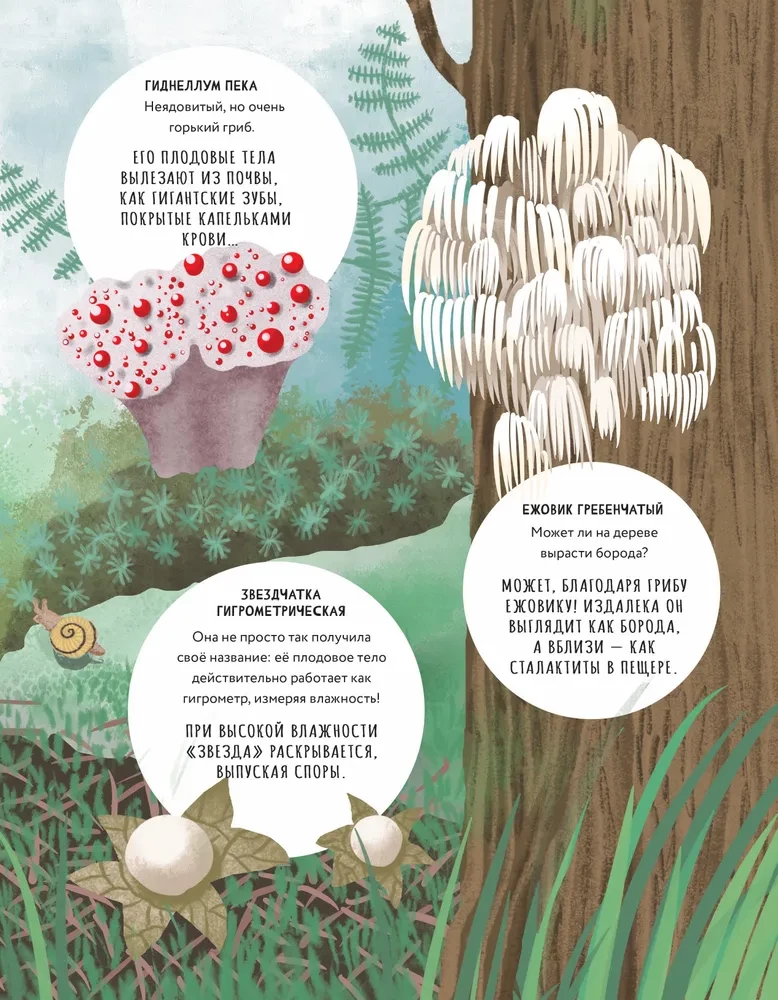 The Secrets of Mushrooms