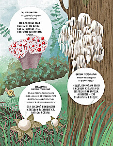 The Secrets of Mushrooms
