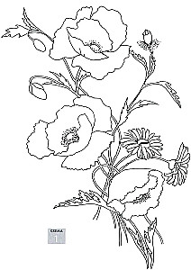 Magic Flowers. Draw with Watercolors