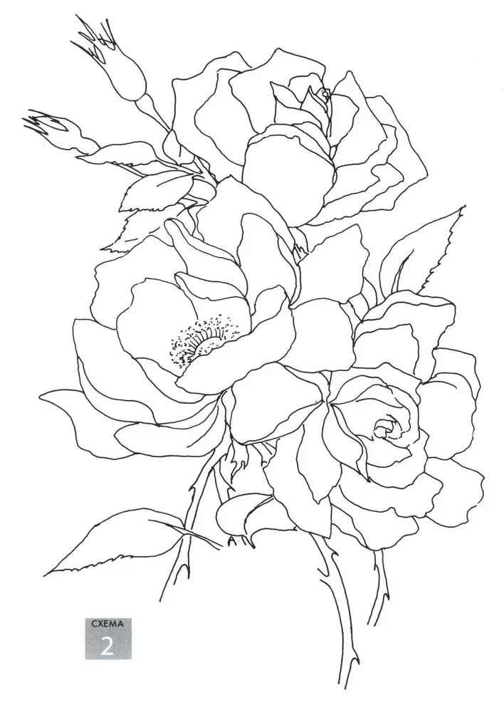 Magic Flowers. Draw with Watercolors