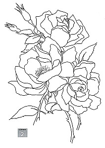 Magic Flowers. Draw with Watercolors