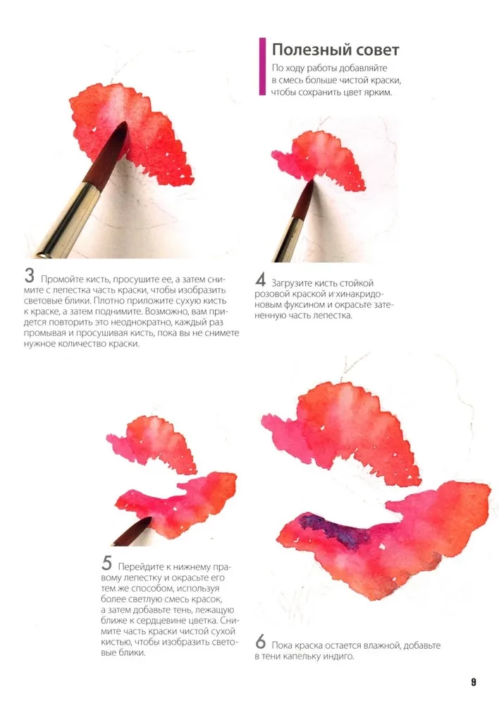 Folder with Watercolor Paper Magical Flowers. Paint with Watercolor + Brochure