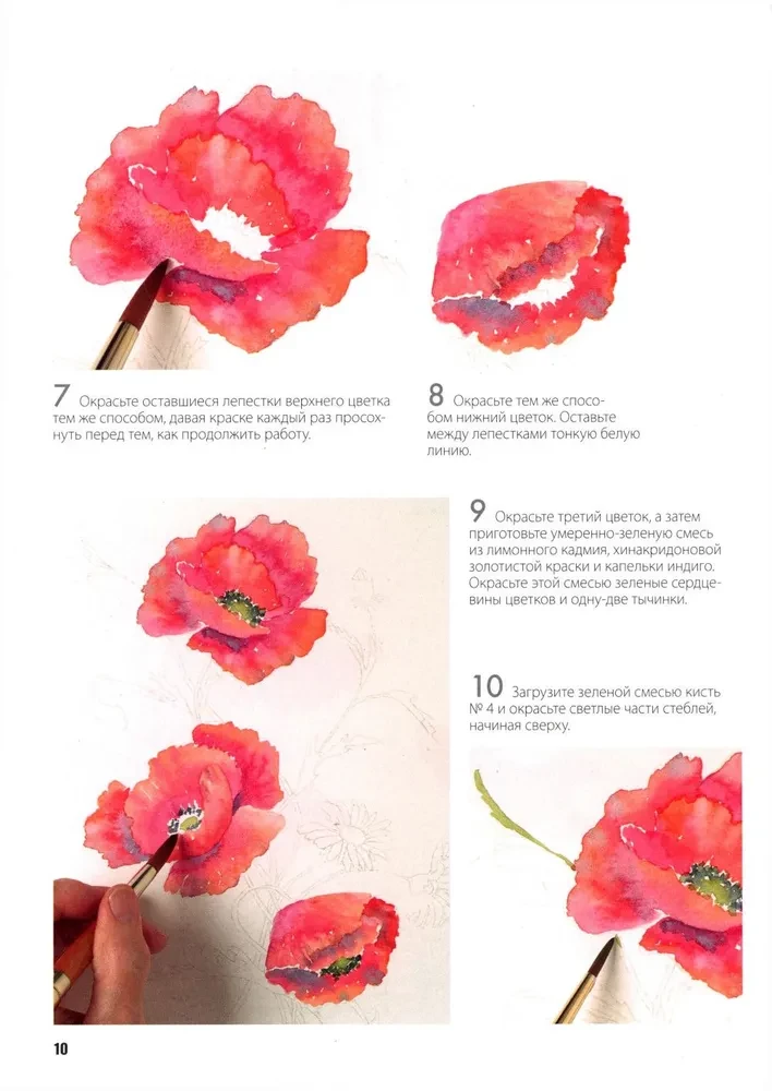 Folder with Watercolor Paper Magical Flowers. Paint with Watercolor + Brochure
