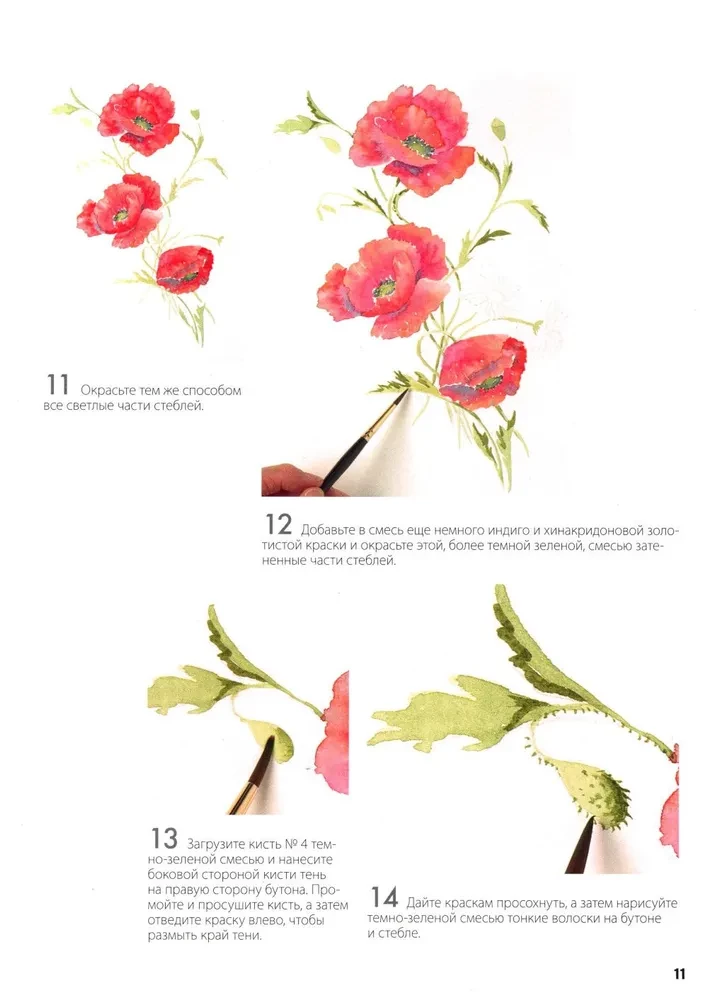 Folder with Watercolor Paper Magical Flowers. Paint with Watercolor + Brochure